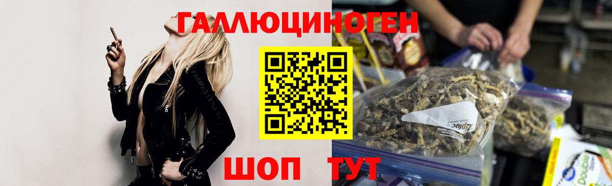 Галлюциногенные грибы Cubensis Касимов